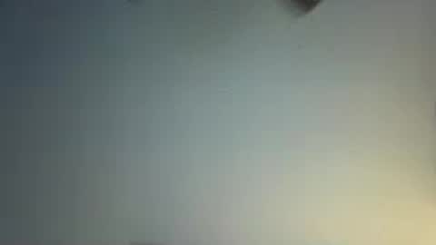 Snapshot of bamacpl80 chatting on July 2026 12:42:01 AM bamacpl80 online show from July 2026 12:42:01 AM