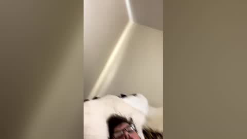 Snapshot of bamarob29 chatting on January 2026 07:19:02 PM bamarob29 online show from January 2026 07:19:02 PM