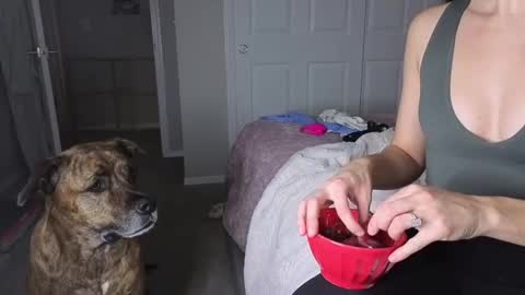 bambifarrina online show from January 2026 05:11:02 AM