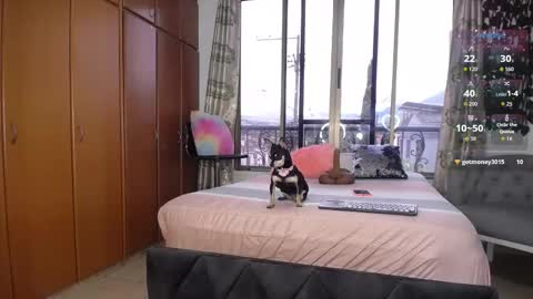 Barbiefoxx online show from January 2026 03:36:02 PM