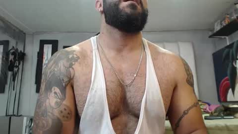 bardock online show from November 2025 10:32:01 PM