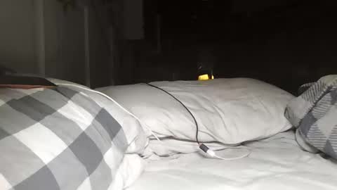 nevametafreaklikemeb4 online show from March 2026 04:28:02 AM