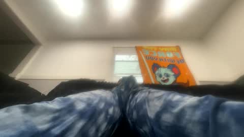 Barney online show from October 2025 02:50:01 PM