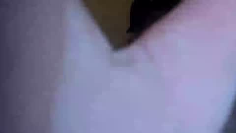 barniemay1 online show from July 2026 04:41:01 AM