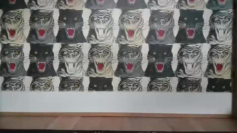 Snapshot of basrutten1 chatting on March 2025 04:07:02 PM Bas online show from March 2025 04:07:02 PM