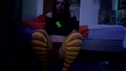 bathingcat online show from March 2026 07:32:02 AM