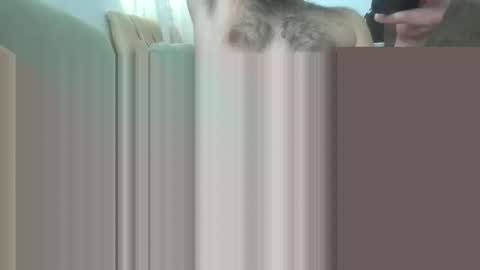 Snapshot of bathoneacock chatting on March 2025 08:16:01 AM bathoneacock online show from March 2025 08:16:01 AM