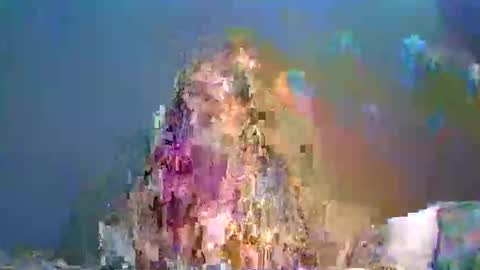 baylee_nicole18 online show from June 2026 12:05:02 AM