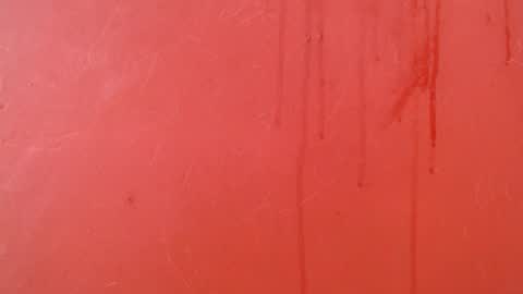 bayonette_black online show from November 2025 07:13:01 PM