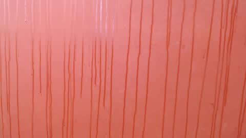 bayonette_black online show from December 2025 07:08:02 PM