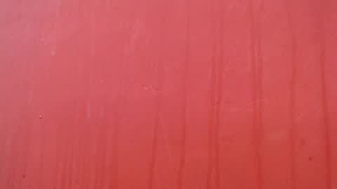 bayonette_black online show from December 2025 07:09:01 PM