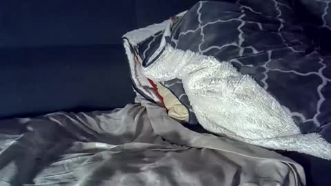 bbc_highness online show from March 2026 08:14:02 AM