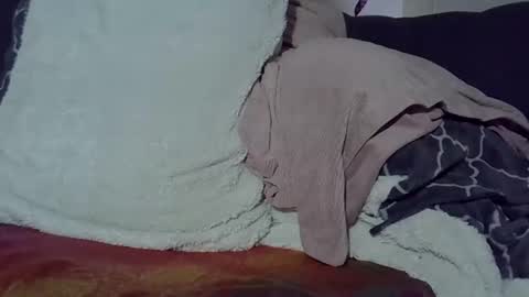 bbc_highness online show from April 2026 12:11:02 PM