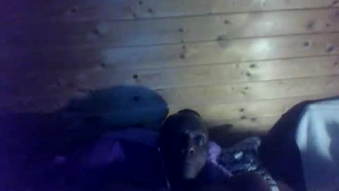 Snapshot of bbcmasterxl chatting on December 2025 01:02:02 AM bbcmasterxl online show from December 2025 01:02:02 AM