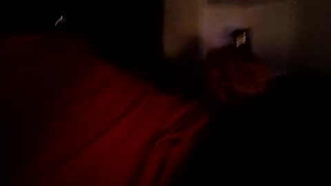 Snapshot of bbetoven chatting on October 2025 06:50:02 AM bbetoven online show from October 2025 06:50:02 AM