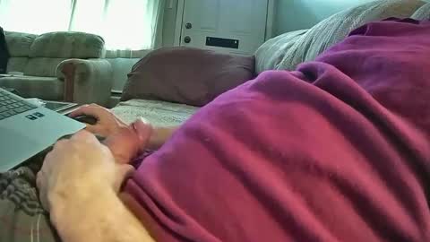 bcema2 online show from January 2025 06:04:02 PM