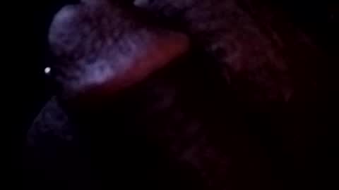 bcfalcon69 online show from May 2026 03:45:02 AM