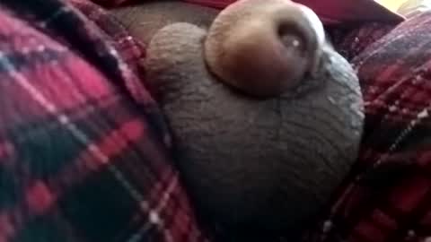 bcfalcon69 online show from June 2026 01:24:01 PM