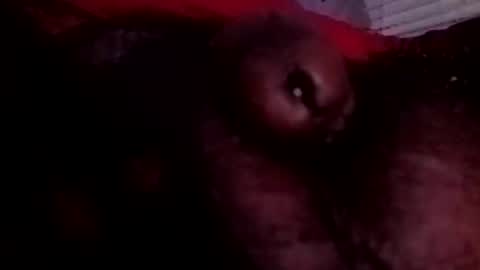 bcfalcon69 online show from June 2026 03:28:01 AM