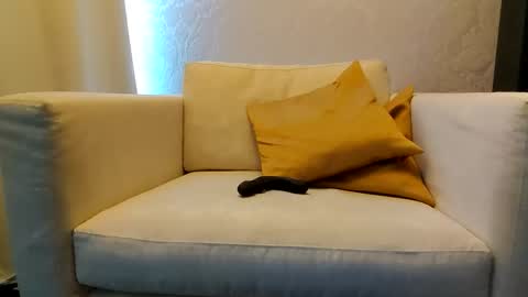 bd online show from February 2026 03:16:02 PM