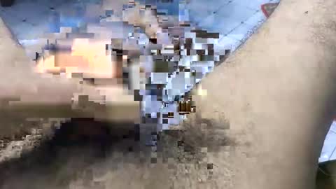 Snapshot of bd_sam_69 chatting on November 2025 09:50:02 PM bd_sam_69 online show from November 2025 09:50:02 PM