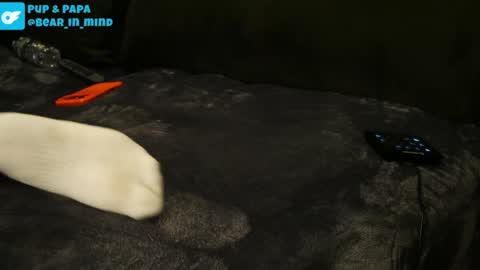 BareBear online show from April 2026 01:19:01 AM