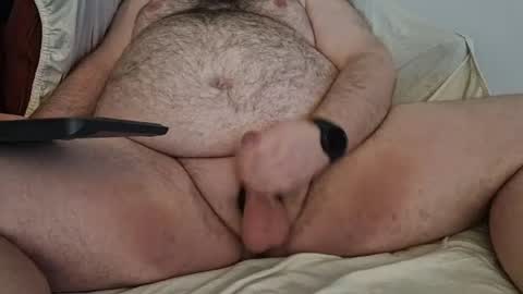 Snapshot of bearballsandbeer chatting on May 2026 10:42:01 AM bearballsandbeer online show from May 2026 10:42:01 AM