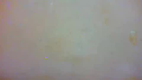 Eva online show from January 2025 02:02:01 AM