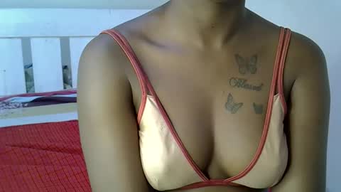 bedmaster_d online show from March 2026 01:28:01 PM