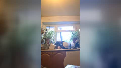 zeef online show from June 2026 07:46:01 PM