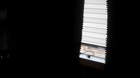 belessa4u online show from March 2026 12:48:02 AM