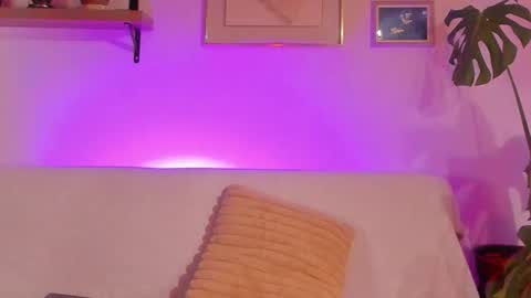 Bel  online show from November 2025 11:48:02 PM