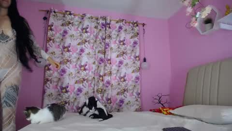 bella_gentle online show from December 2024 11:43:02 AM