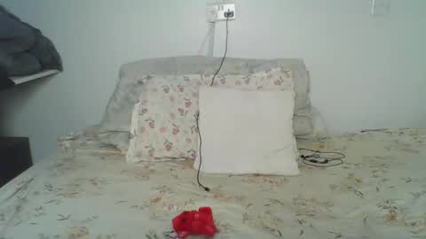 bellah online show from February 2026 05:49:01 AM