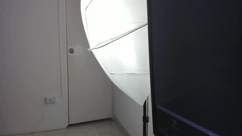 Snapshot of bellawild_ chatting on February 2026 12:14:01 PM Bella Wild online show from February 2026 12:14:01 PM