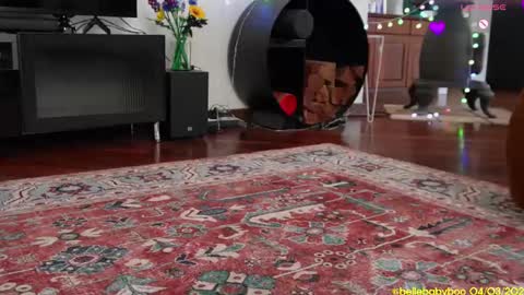 BELLE   online show from March 2025 01:12:01 AM