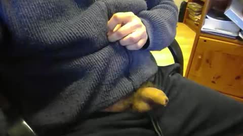 jaimetout online show from April 2026 12:33:01 PM