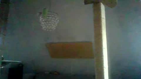 benizio online show from January 2025 02:41:01 PM