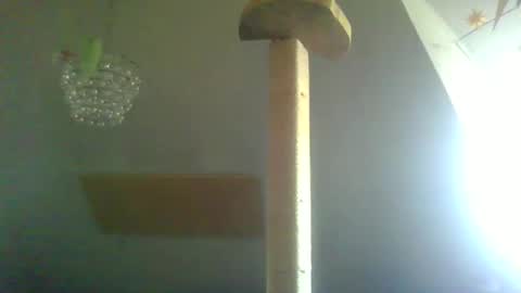 benizio online show from February 2025 11:02:02 AM