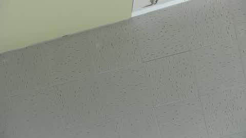 Ben online show from March 2025 07:45:02 PM