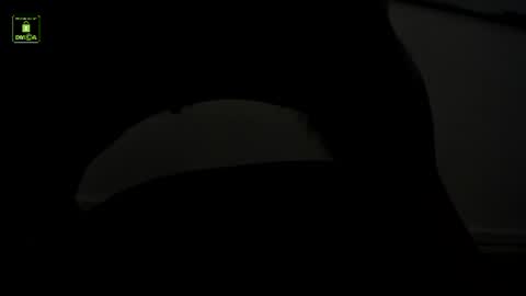 Benny online show from July 2026 11:04:02 AM