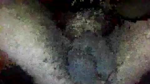 ToxicPipe757 online show from January 2026 02:01:02 PM