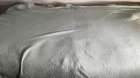 BEST online show from January 2026 05:40:01 PM