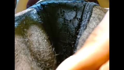 Bethany Wilson online show from February 2025 04:59:01 PM