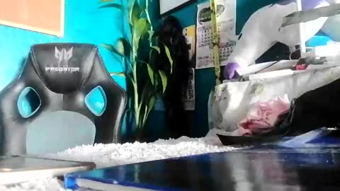 Snapshot of bheb_ji chatting on February 2026 06:10:01 AM bheb_ji online show from February 2026 06:10:01 AM