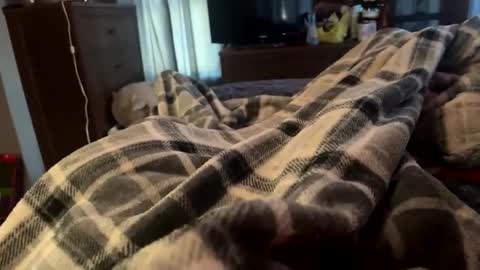 bi_guy_1993 online show from February 2025 08:51:02 PM