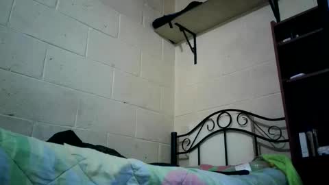 bichopeludo online show from October 2025 12:08:02 AM