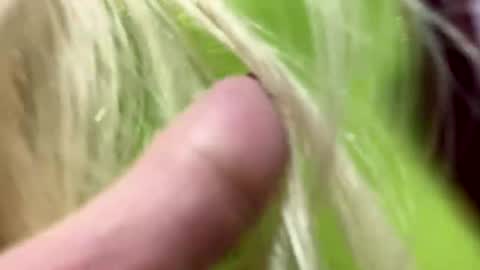 angela online show from January 2025 06:05:01 AM