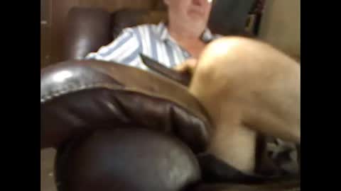 BB online show from November 2025 04:41:02 PM