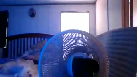 BB online show from March 2026 08:30:02 PM